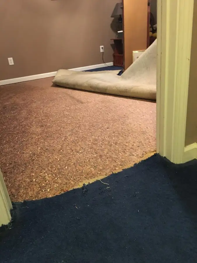 Carpet pad removal revealing water damage during Water Mitigation Services in Easttown