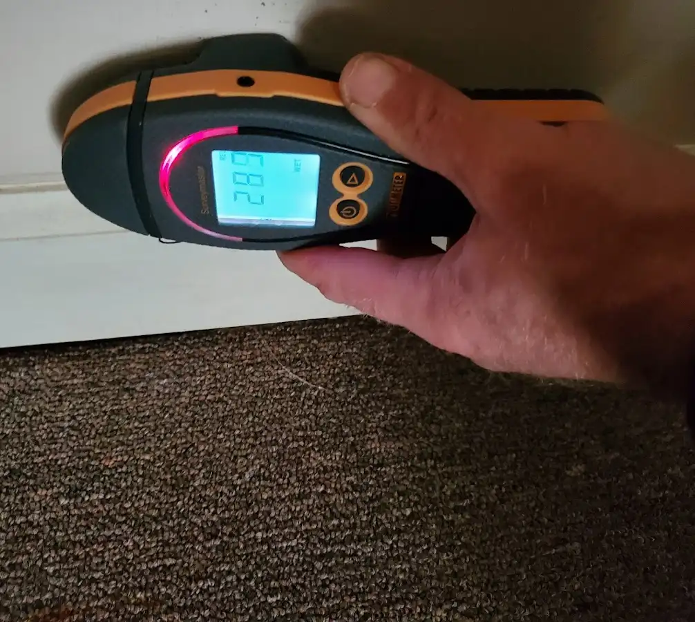 Moisture detection at baseboard during Sewage Cleanup & Sanitation in Easttown